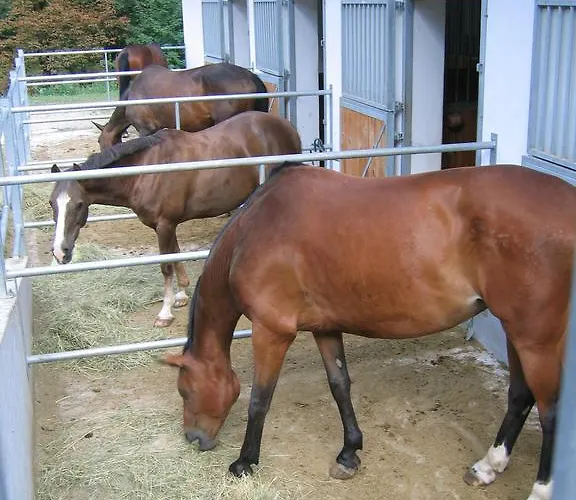 Sever Appartement Idrija